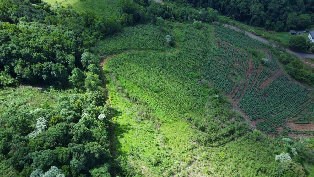 Terreno, 1 hectares - Foto 4