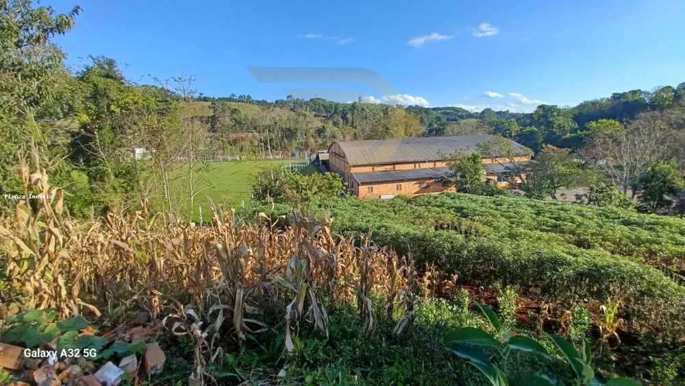 Chácara, 4 quartos, 7300 m² - Foto 2