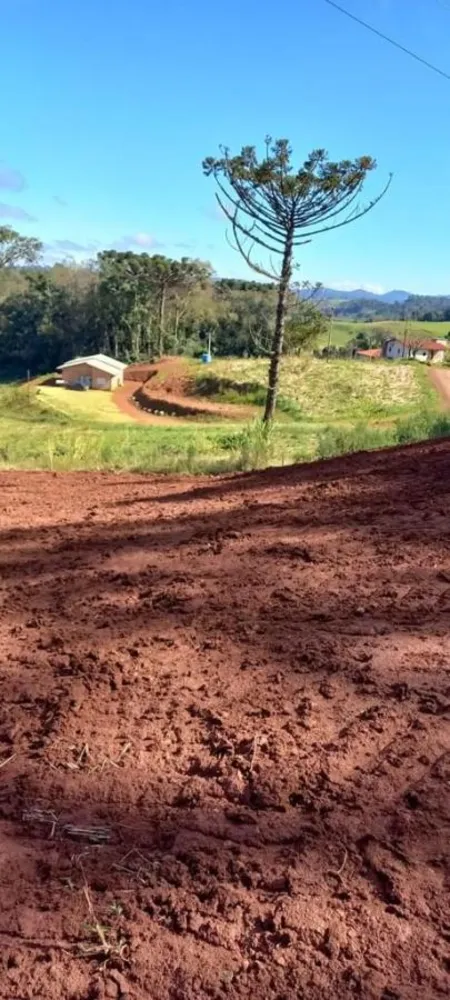 Terreno, 1500 m² - Foto 4