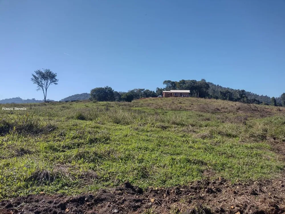 Fazenda, 15 hectares - Foto 11