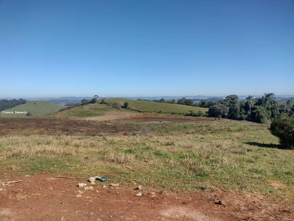 Fazenda, 15 hectares - Foto 12