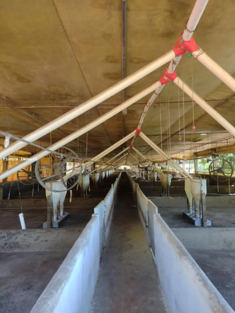 Fazenda, 15 hectares - Foto 8
