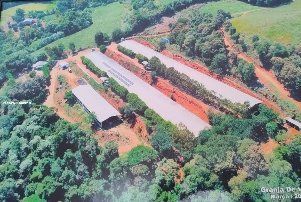 Fazenda, 15 hectares - Foto 1