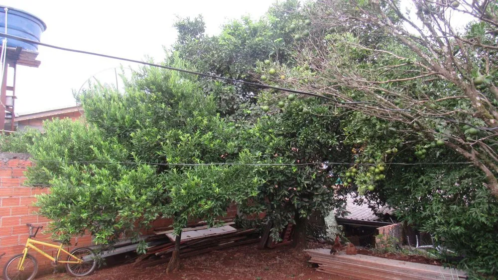 Casa, 1 quarto, 36 m² - Foto 12