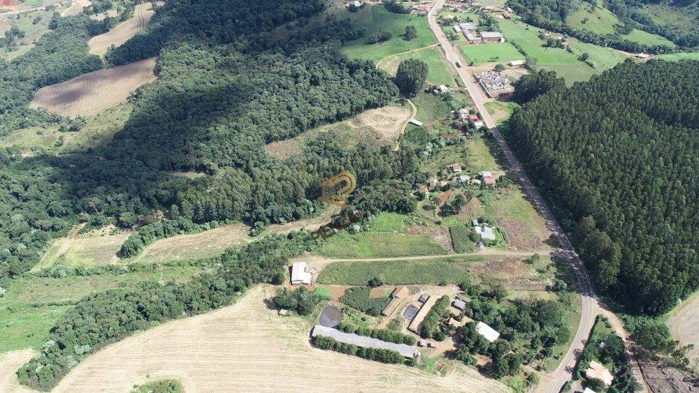 Terreno, 4 hectares - Foto 1
