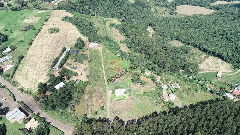 Terreno, 4 hectares - Foto 3