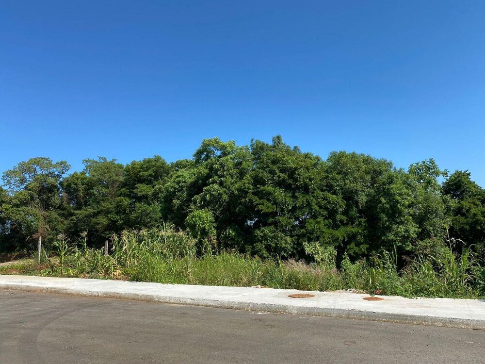 Terreno, 7000 m² - Foto 7