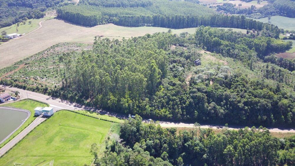 Terreno, 6 hectares - Foto 5