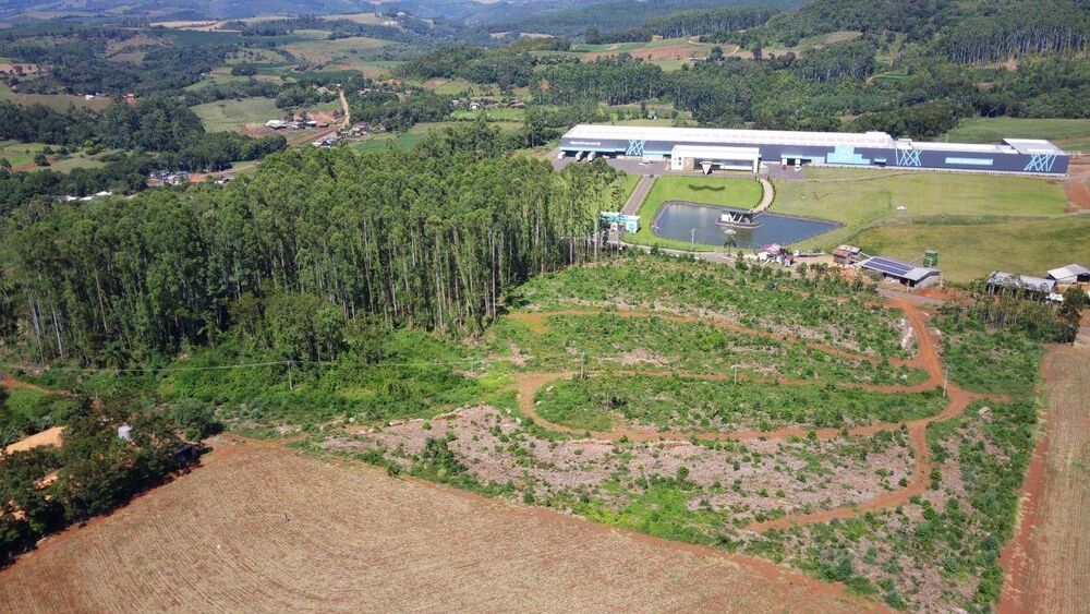 Terreno, 6 hectares - Foto 2