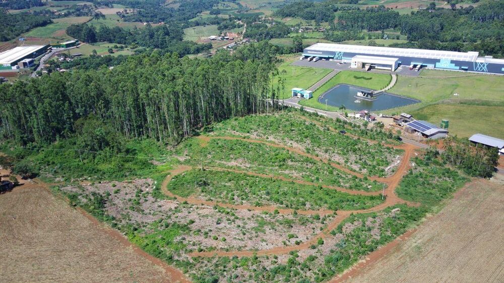 Terreno, 6 hectares - Foto 3