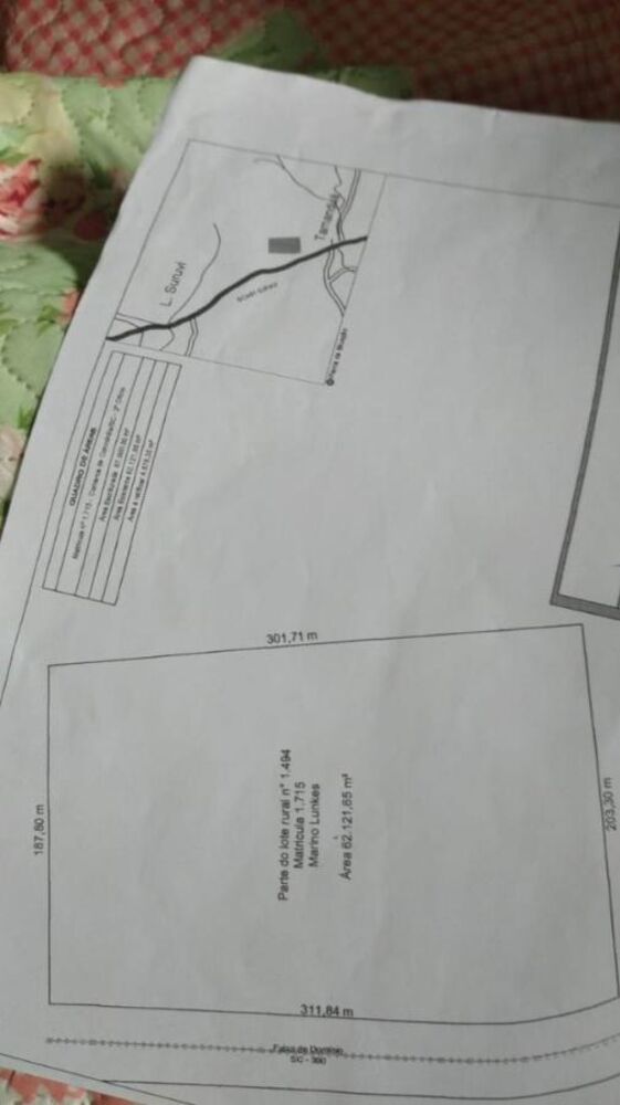 Terreno, 6 hectares - Foto 7