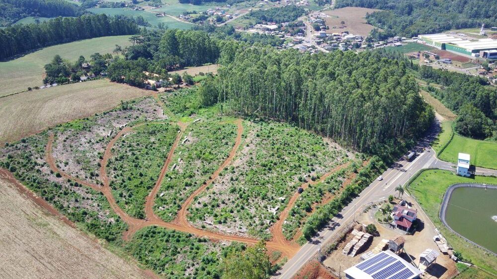Terreno, 6 hectares - Foto 1