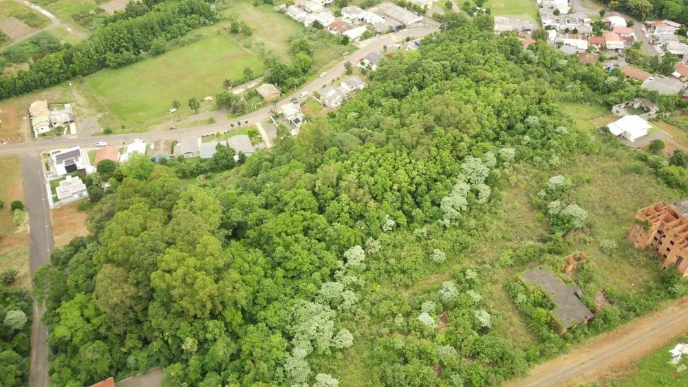 Terreno, 19 hectares - Foto 3