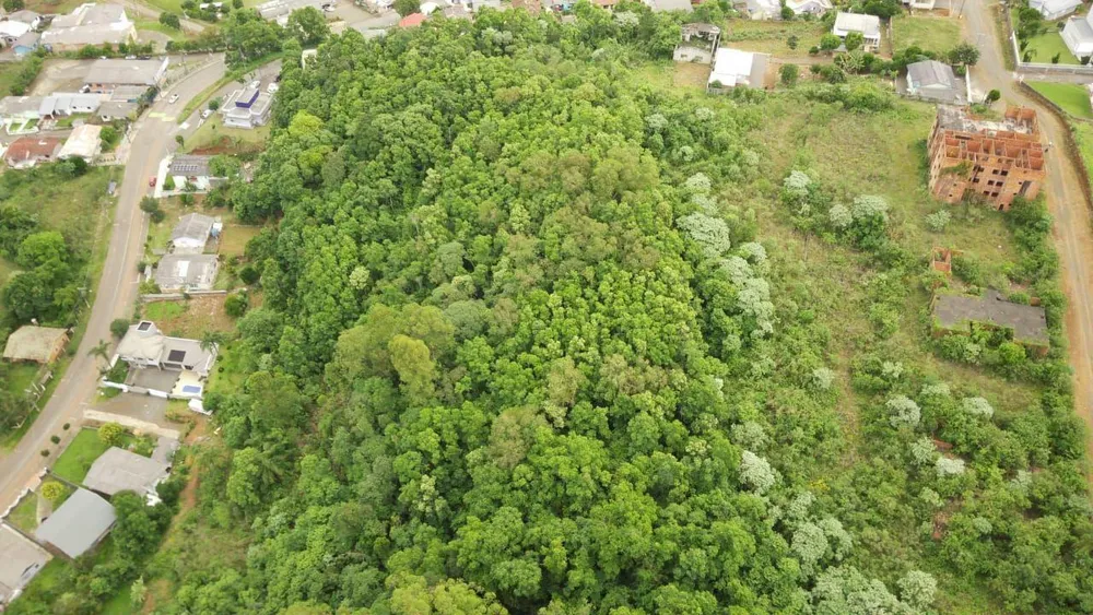 Terreno, 19 hectares - Foto 9