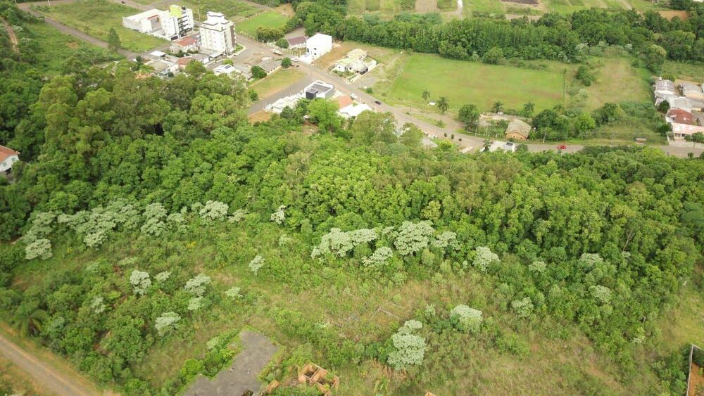 Terreno, 19 hectares - Foto 3