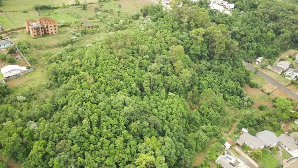 Terreno, 19 hectares - Foto 6