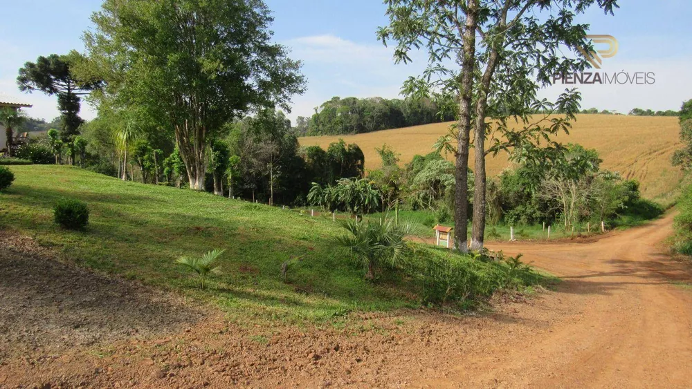 Sítio à venda com 4 quartos, 12000M2 - Foto 8