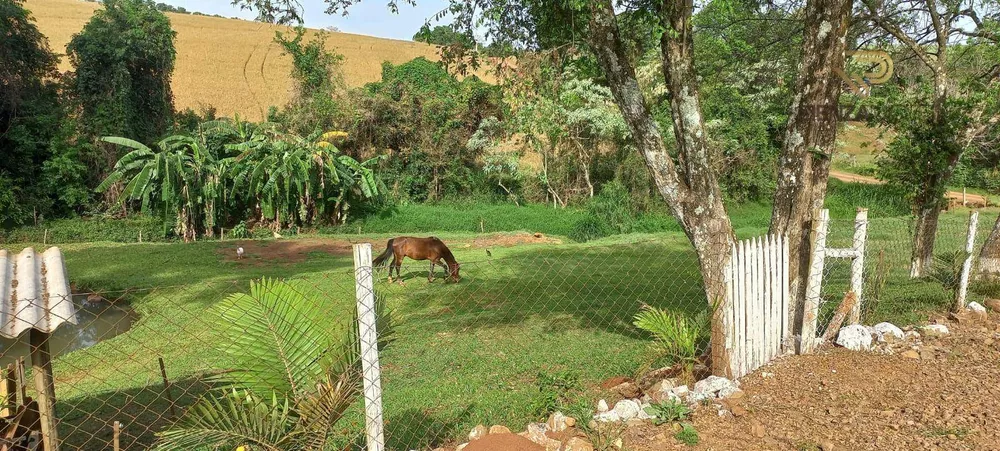 Sítio à venda com 4 quartos, 12000M2 - Foto 4