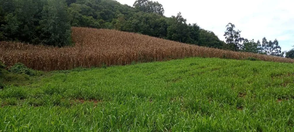 Loteamento e Condomínio, 17 hectares - Foto 5