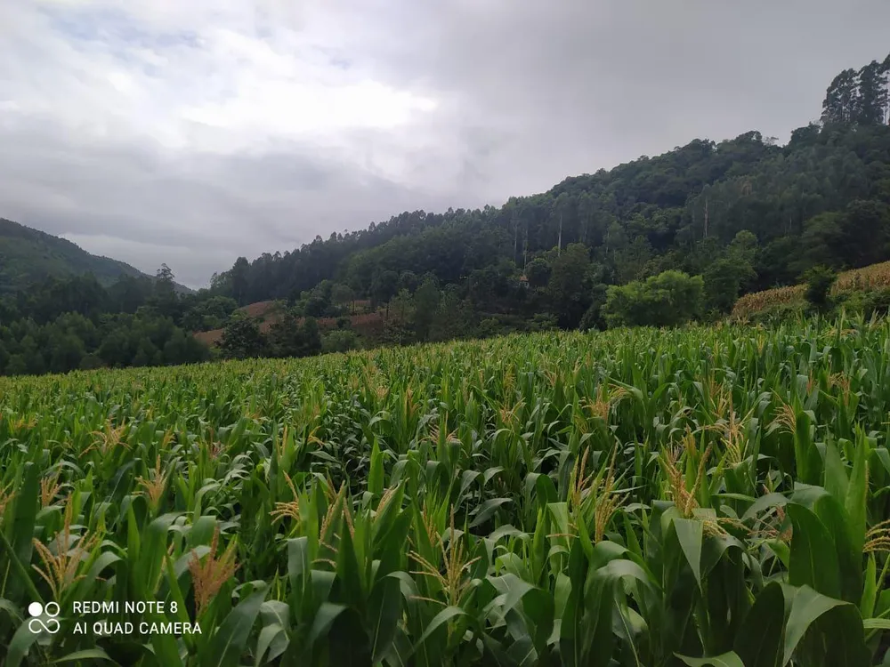 Loteamento e Condomínio, 17 hectares - Foto 10