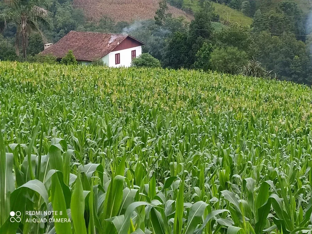 Loteamento e Condomínio, 17 hectares - Foto 11