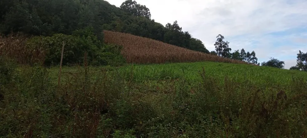 Loteamento e Condomínio, 17 hectares - Foto 7