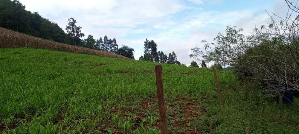 Loteamento e Condomínio, 17 hectares - Foto 6