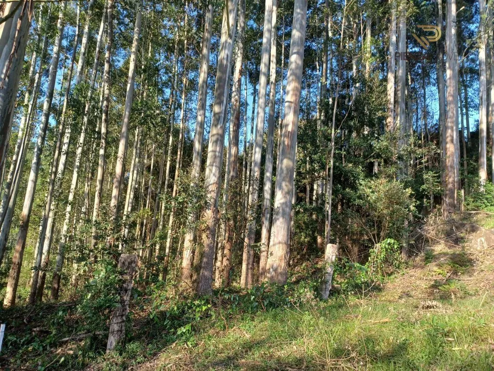 Terreno à venda, 87000M2 - Foto 3