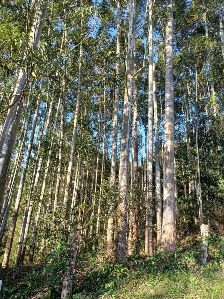 Terreno à venda, 87000M2 - Foto 1