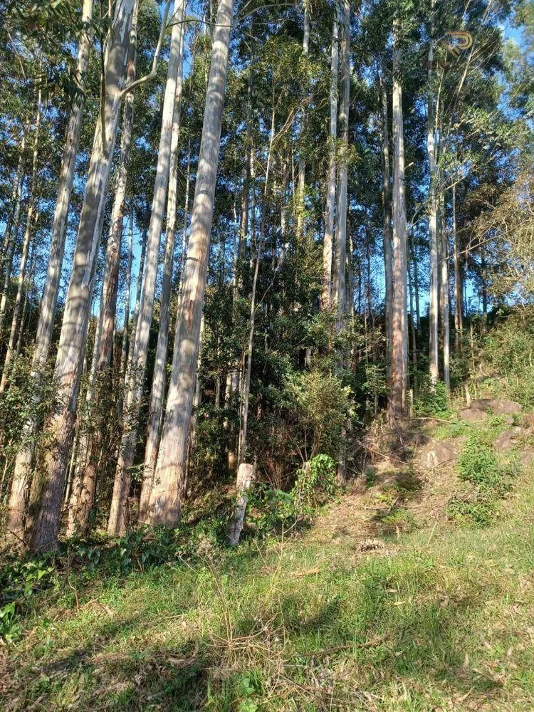 Terreno à venda, 87000M2 - Foto 4