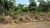 Terreno, 450 m² - Foto 3