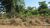 Terreno, 450 m² - Foto 2