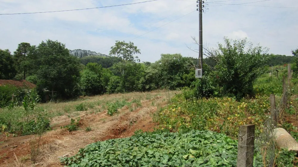 Loteamento e Condomínio, 4 hectares - Foto 3