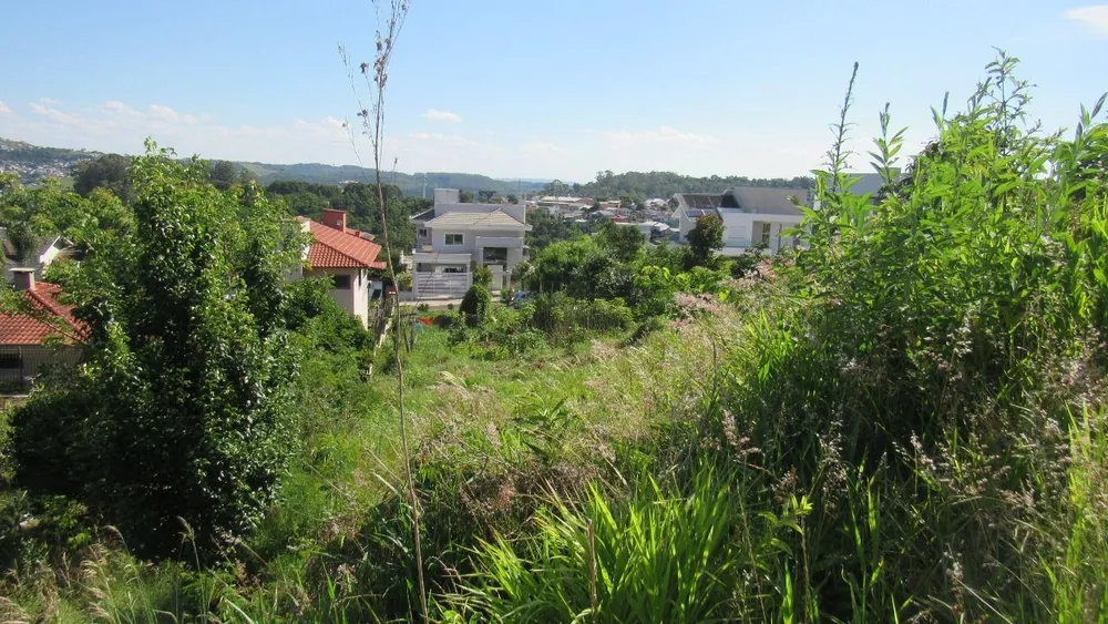 Terreno, 450 m² - Foto 2