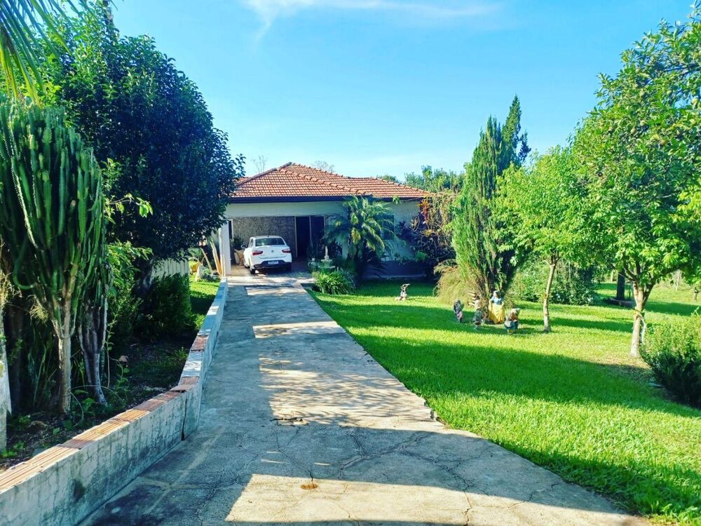 Chácara à venda com 3 quartos, 20000m² - Foto 1
