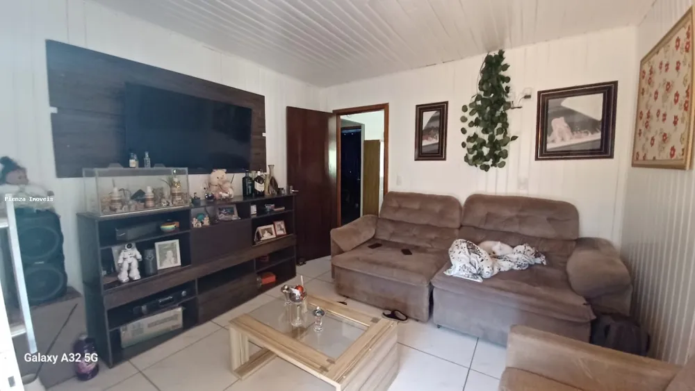 Sítio, 3 quartos, 3800 m² - Foto 6