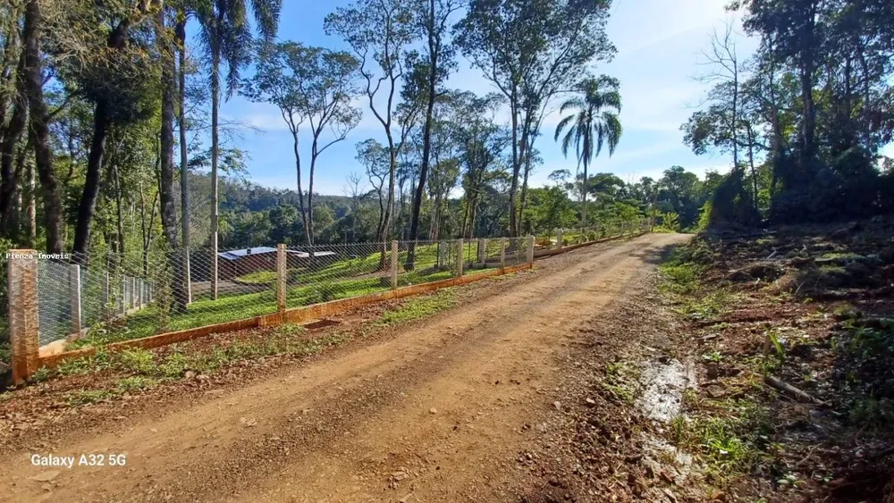 Sítio, 3 quartos, 3800 m² - Foto 3