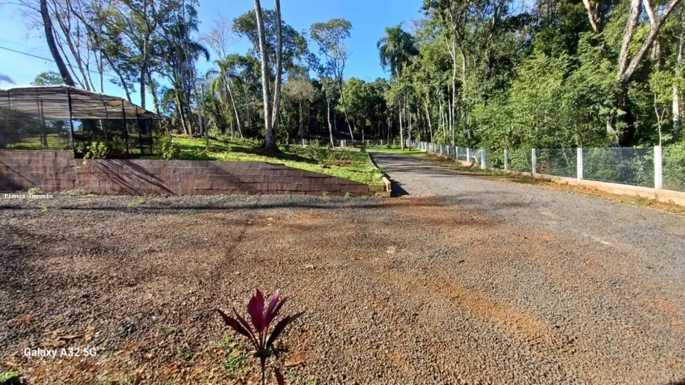 Sítio, 3 quartos, 3800 m² - Foto 5