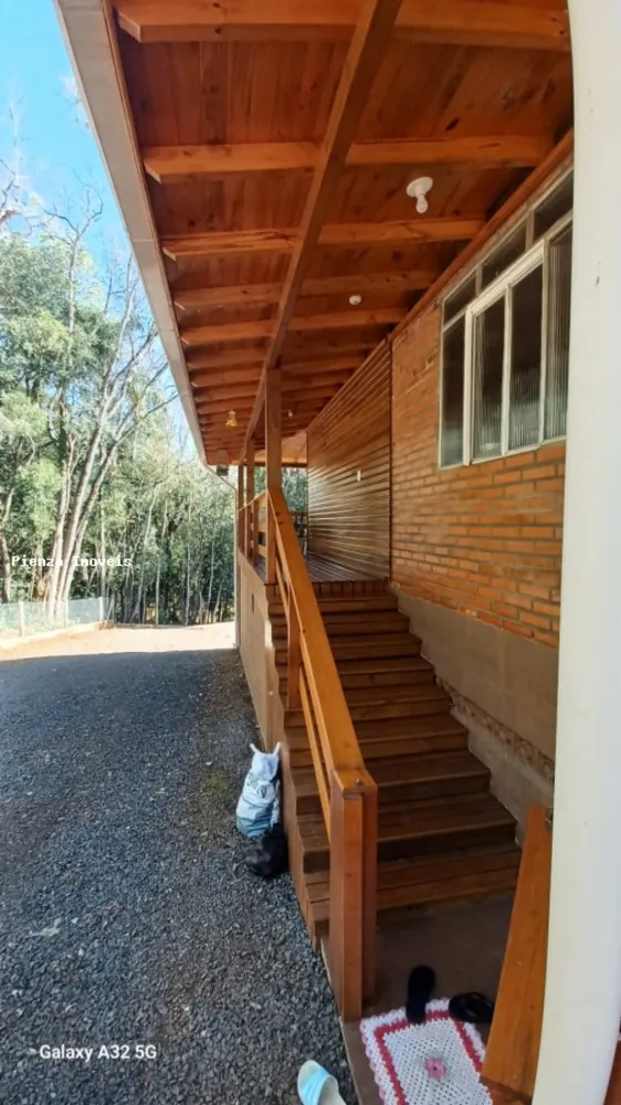 Sítio, 3 quartos, 3800 m² - Foto 7
