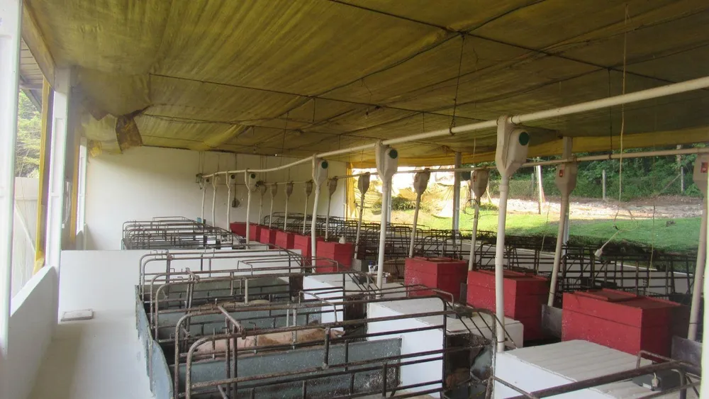 Fazenda, 17 hectares - Foto 8