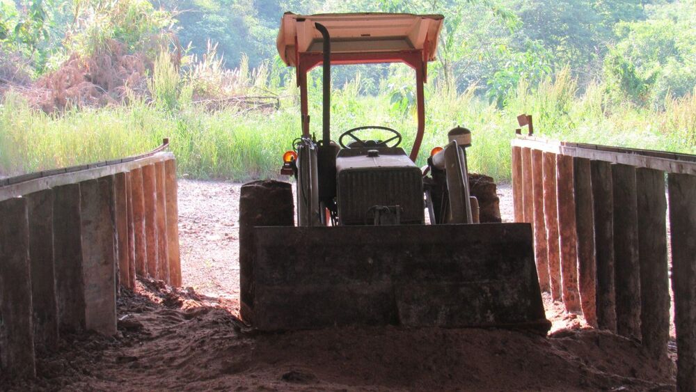 Fazenda, 17 hectares - Foto 4