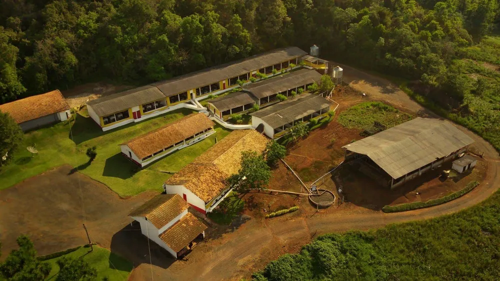 Fazenda, 17 hectares - Foto 2