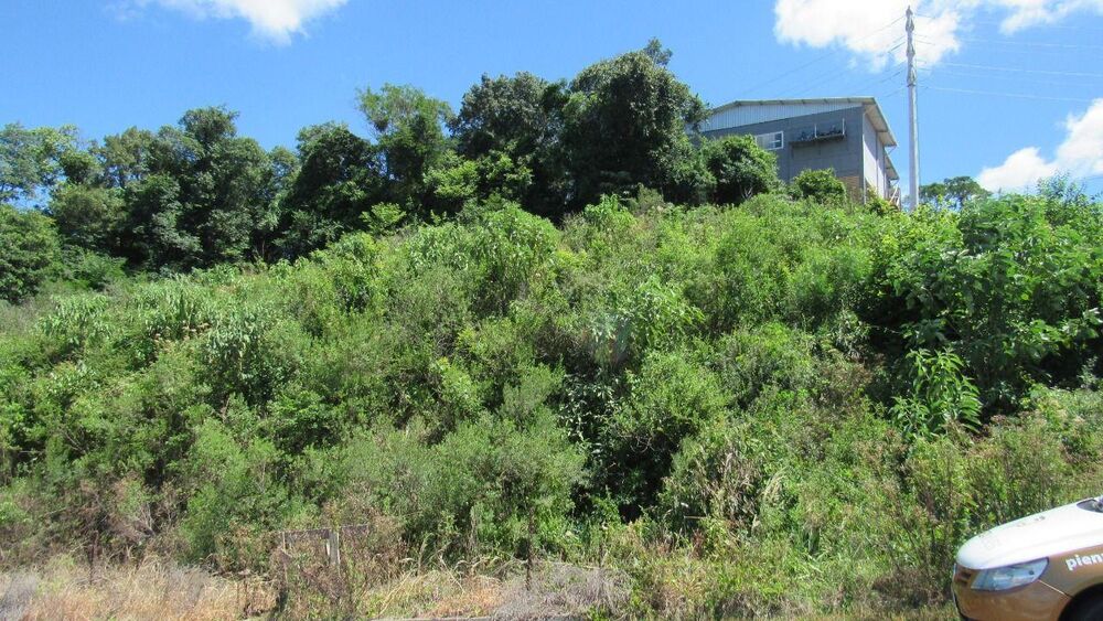 Terreno, 800 m² - Foto 3