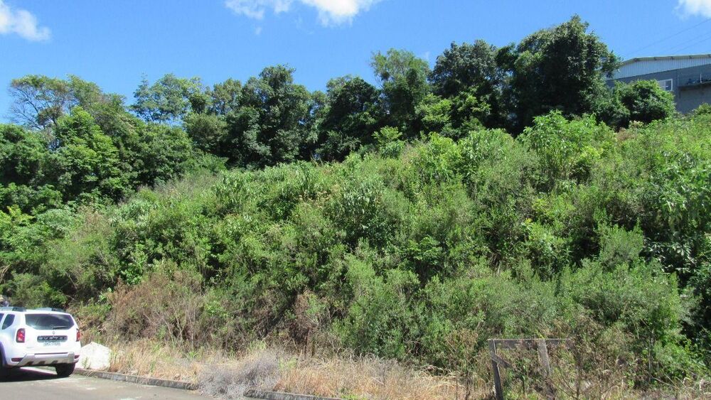 Terreno, 800 m² - Foto 5