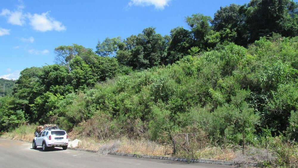 Terreno, 800 m² - Foto 4