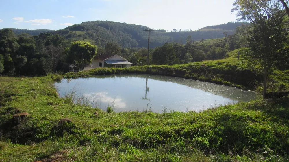 Fazenda, 224 hectares - Foto 42
