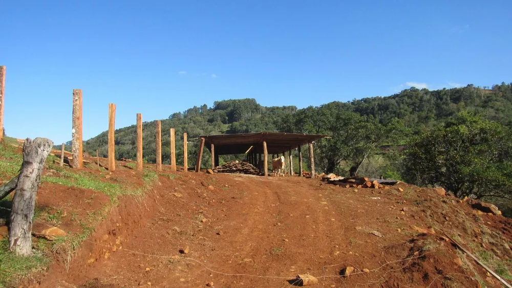 Fazenda, 224 hectares - Foto 39