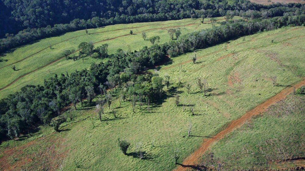 Fazenda, 224 hectares - Foto 24