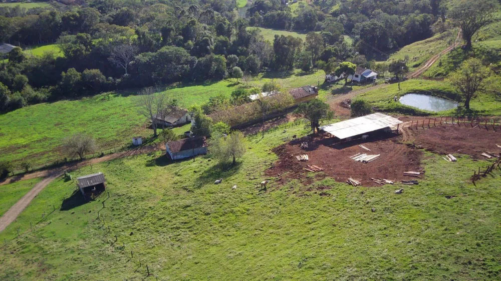Fazenda, 224 hectares - Foto 8