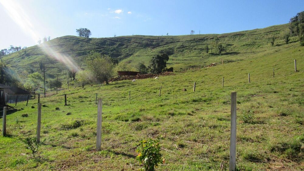 Fazenda, 224 hectares - Foto 35